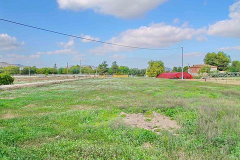 Villa i Aspe, Alicante, Aspe - € 475.000 | Ref: CLDJ-40617 - foto 6