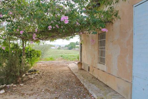 Villa i Aspe, Alicante, Aspe - € 475.000 | Ref: CLDJ-40617 - foto 7