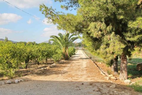 Villa i Aspe, Alicante, Aspe - € 475.000 | Ref: CLDJ-40617 - foto 9