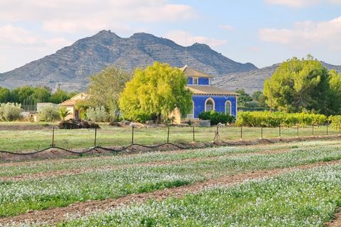 Villa i Aspe, Alicante, Aspe - € 475.000 | Ref: CLDJ-40617 - foto 14