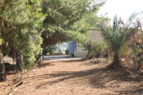 Villa i Aspe, Alicante, Aspe - € 475.000 | Ref: CLDJ-40617 - foto 21