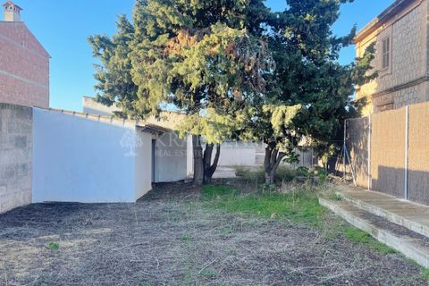 Terreno en Campos, Mallorca, Campos - € 403.000 | Ref: TC009SD - photo 6