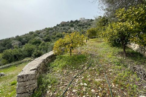 Landejendom i Modica, Ragusa, Modica - € 120.000 | Ref: L 1944 - foto 17