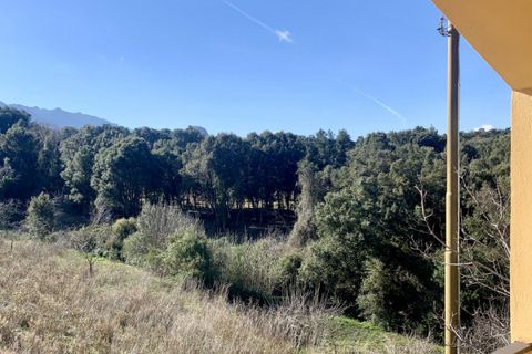 Villa a Calangianus, Sassari, Calangianus - € 248.000 | Ref: 552 - foto 22