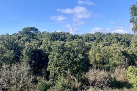 Villa a Calangianus, Sassari, Calangianus - € 248.000 | Ref: 552 - foto 33