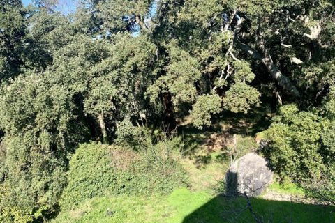 Villa a Calangianus, Sassari, Calangianus - € 248.000 | Ref: 552 - foto 34