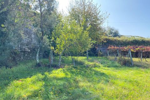 Landejendom i Moncao, Viana do Castelo, Moncao - € 59.000 | Ref: MNC1403CPR - foto 15