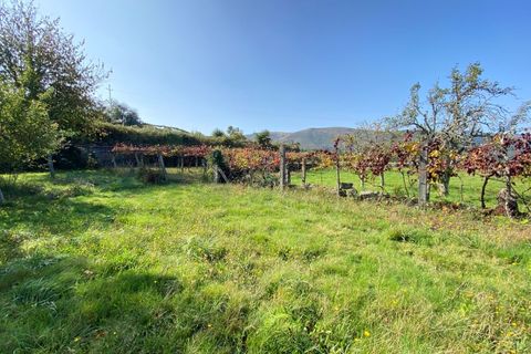 Landejendom i Moncao, Viana do Castelo, Moncao - € 59.000 | Ref: MNC1403CPR - foto 16