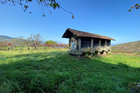 Landejendom i Moncao, Viana do Castelo, Moncao - € 59.000 | Ref: MNC1403CPR - foto 19