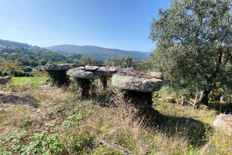 Landejendom i Moncao, Viana do Castelo, Moncao - € 55.000 | Ref: MNC1402CPR - foto 15