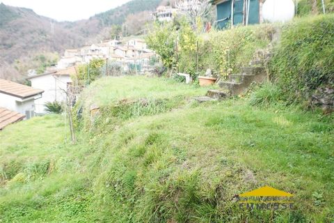 Villa i Massa, Massa and Carrara, Massa - € 150.000 | Ref: 1328 - foto 3