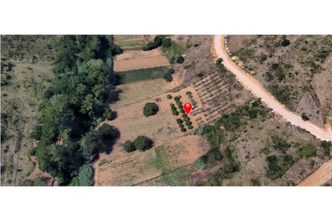 Helårsgrund i Mafra, Lisbon, Mafra - € 39.000 | Ref: MAX-117-24 - foto 2