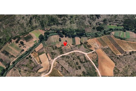 Helårsgrund i Mafra, Lisbon, Mafra - € 39.000 | Ref: MAX-117-24 - foto 13