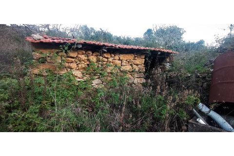 Helårsgrund i Mafra, Lisbon, Mafra - € 39.000 | Ref: MAX-117-24 - foto 5