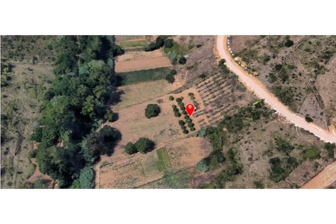 Helårsgrund i Mafra, Lisbon, Mafra - € 39.000 | Ref: MAX-117-24 - foto 16