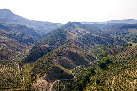 Helårsgrund i Cambil, Jaen, Cambil - € 850.000 | Ref: EXP06653/8930 - foto 5
