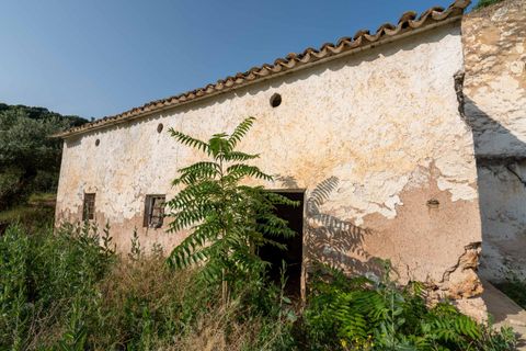 Helårsgrund i Cambil, Jaen, Cambil - € 850.000 | Ref: EXP06653/8930 - foto 11