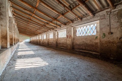 Helårsgrund i Cambil, Jaen, Cambil - € 850.000 | Ref: EXP06653/8930 - foto 15