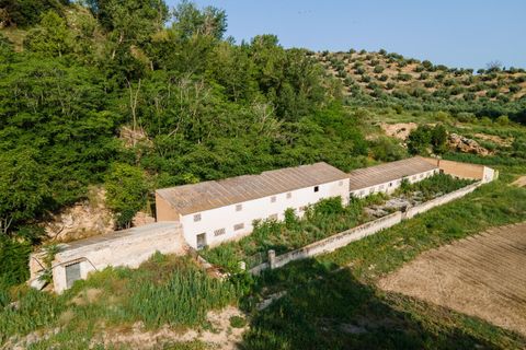 Helårsgrund i Cambil, Jaen, Cambil - € 850.000 | Ref: EXP06653/8930 - foto 24