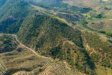 Helårsgrund i Cambil, Jaen, Cambil - € 850.000 | Ref: EXP06653/8930 - foto 29