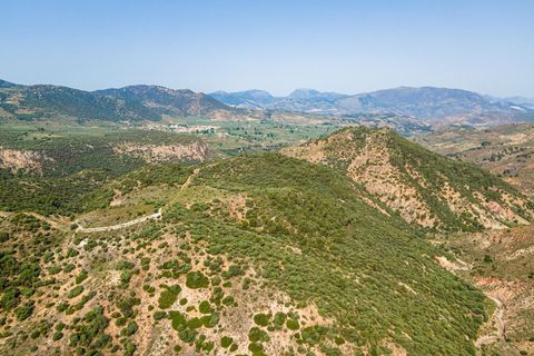 Helårsgrund i Cambil, Jaen, Cambil - € 850.000 | Ref: EXP06653/8930 - foto 33