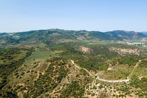 Helårsgrund i Cambil, Jaen, Cambil - € 850.000 | Ref: EXP06653/8930 - foto 34