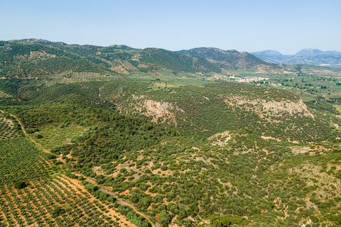 Helårsgrund i Cambil, Jaen, Cambil - € 850.000 | Ref: EXP06653/8930 - foto 35