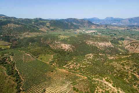 Helårsgrund i Cambil, Jaen, Cambil - € 850.000 | Ref: EXP06653/8930 - foto 37