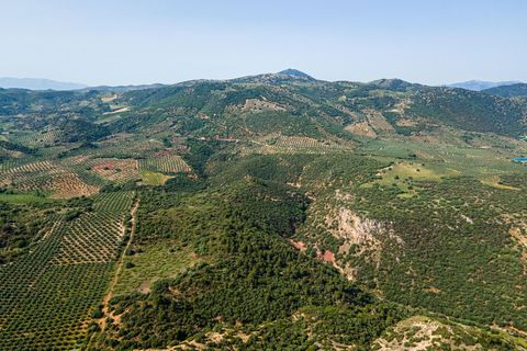 Helårsgrund i Cambil, Jaen, Cambil - € 850.000 | Ref: EXP06653/8930 - foto 38