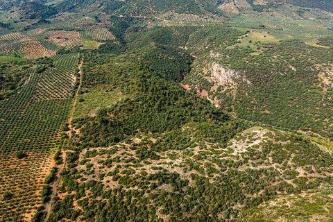 Helårsgrund i Cambil, Jaen, Cambil - € 850.000 | Ref: EXP06653/8930 - foto 39
