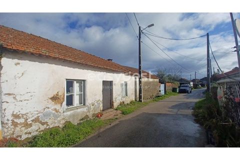 Villa i Tomar, Santarem, Tomar - € 66.500 | Ref: TM94891 - foto 1