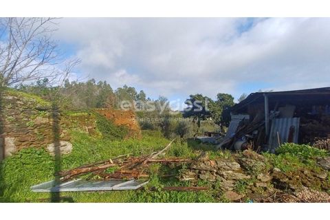 Villa i Tomar, Santarem, Tomar - € 66.500 | Ref: TM94891 - foto 4