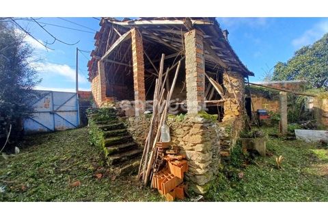 Villa i Tomar, Santarem, Tomar - € 66.500 | Ref: TM94891 - foto 13