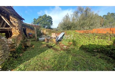 Villa i Tomar, Santarem, Tomar - € 66.500 | Ref: TM94891 - foto 14