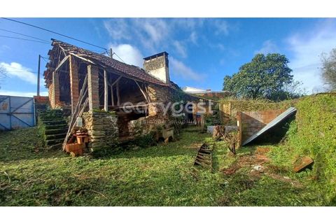 Villa i Tomar, Santarem, Tomar - € 66.500 | Ref: TM94891 - foto 15