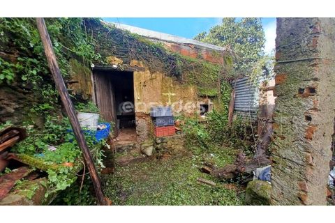 Villa i Tomar, Santarem, Tomar - € 66.500 | Ref: TM94891 - foto 16