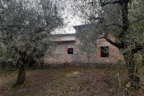 Villa i Todi, Perugia, Todi - € 85.000 | Ref: PESCIANO01 - foto 23
