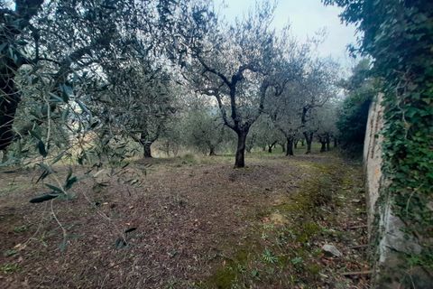 Villa i Todi, Perugia, Todi - € 85.000 | Ref: PESCIANO01 - foto 24