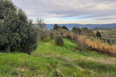 Villa i Todi, Perugia, Todi - € 85.000 | Ref: PESCIANO01 - foto 25