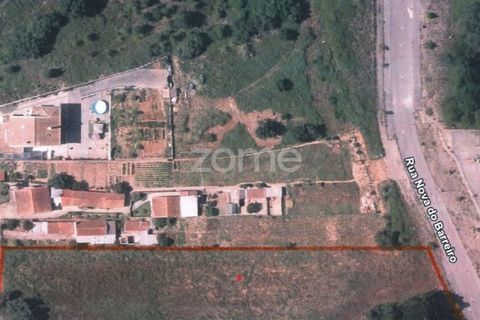 Helårsgrund i Coimbra, Coimbra, Coimbra - € 160.000 | Ref: ZMPT565298 - foto 12
