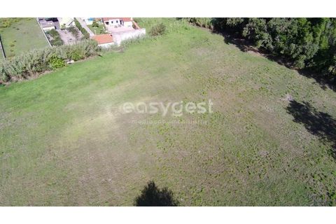 Tomt i Monte Real, Leiria, Monte Real - € 100 000 | Ref: LE94848NZ - foto 4