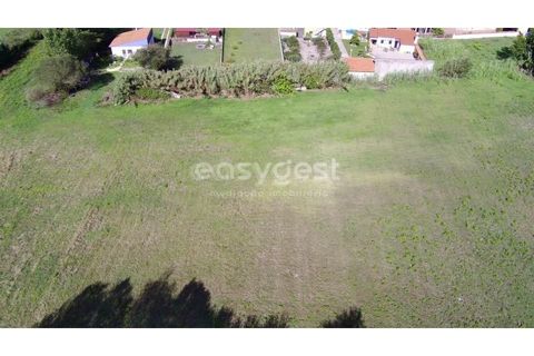 Tomt i Monte Real, Leiria, Monte Real - € 100 000 | Ref: LE94848NZ - foto 6