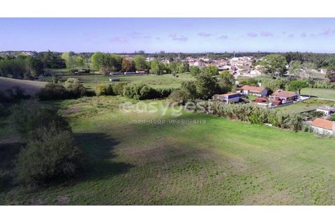 Tomt i Monte Real, Leiria, Monte Real - € 100 000 | Ref: LE94848NZ - foto 7