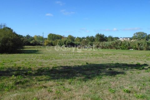 Tomt i Monte Real, Leiria, Monte Real - € 100 000 | Ref: LE94848NZ - foto 10