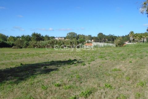 Tomt i Monte Real, Leiria, Monte Real - € 100 000 | Ref: LE94848NZ - foto 11