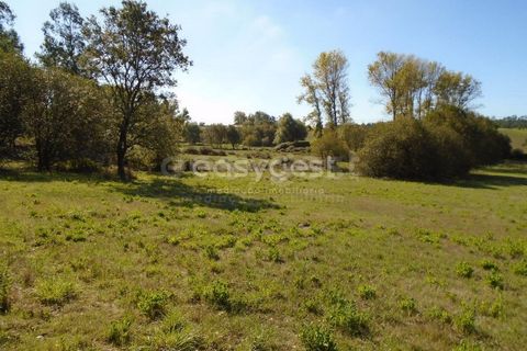 Tomt i Monte Real, Leiria, Monte Real - € 100 000 | Ref: LE94848NZ - foto 14