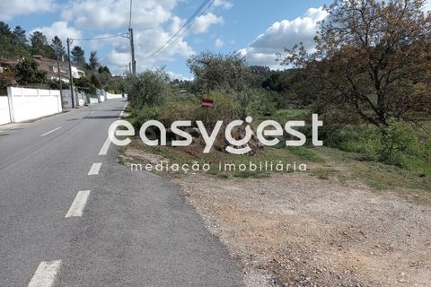 Terra a Assafarge e Antanhol, Coimbra, Assafarge e Antanhol - € 99.000 | Ref: RR88189 - foto 2