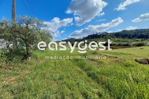 Terra a Assafarge e Antanhol, Coimbra, Assafarge e Antanhol - € 99.000 | Ref: RR88189 - foto 5