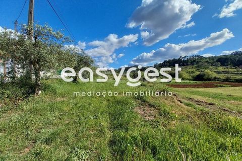Terra a Assafarge e Antanhol, Coimbra, Assafarge e Antanhol - € 99.000 | Ref: RR88189 - foto 6
