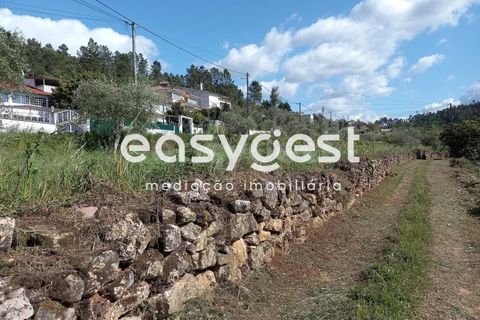 Terra a Assafarge e Antanhol, Coimbra, Assafarge e Antanhol - € 99.000 | Ref: RR88189 - foto 7